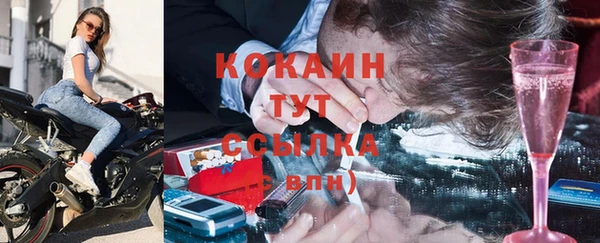 соль ск Белокуриха